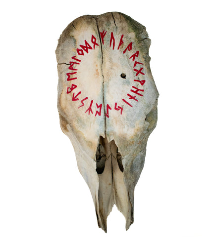 Image of runic circle cow skull