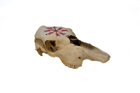 Image of Helm of Awe cow skull