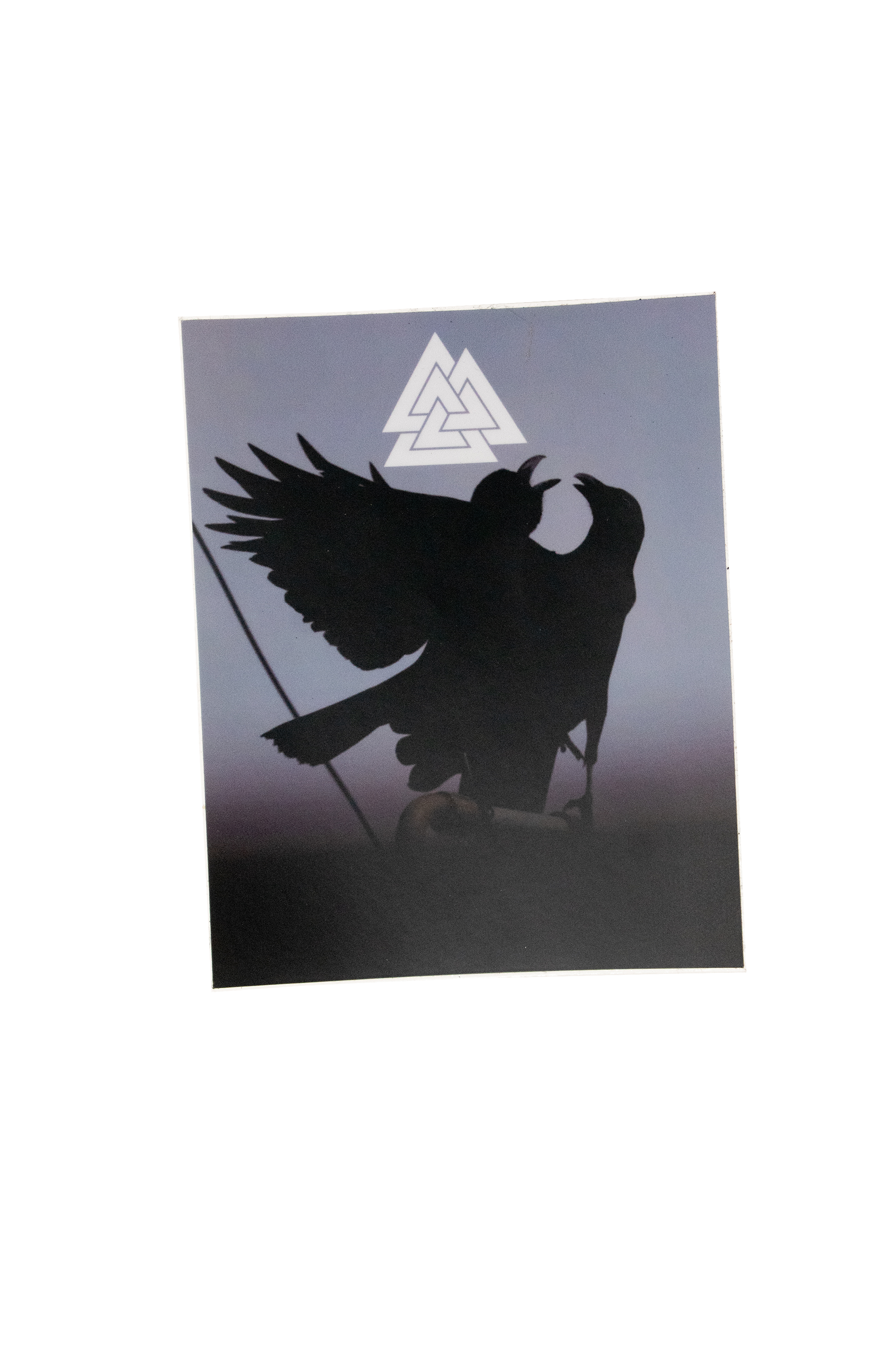 Odin's ravens sticker