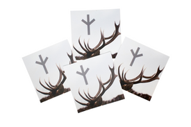 Algiz antler sticker