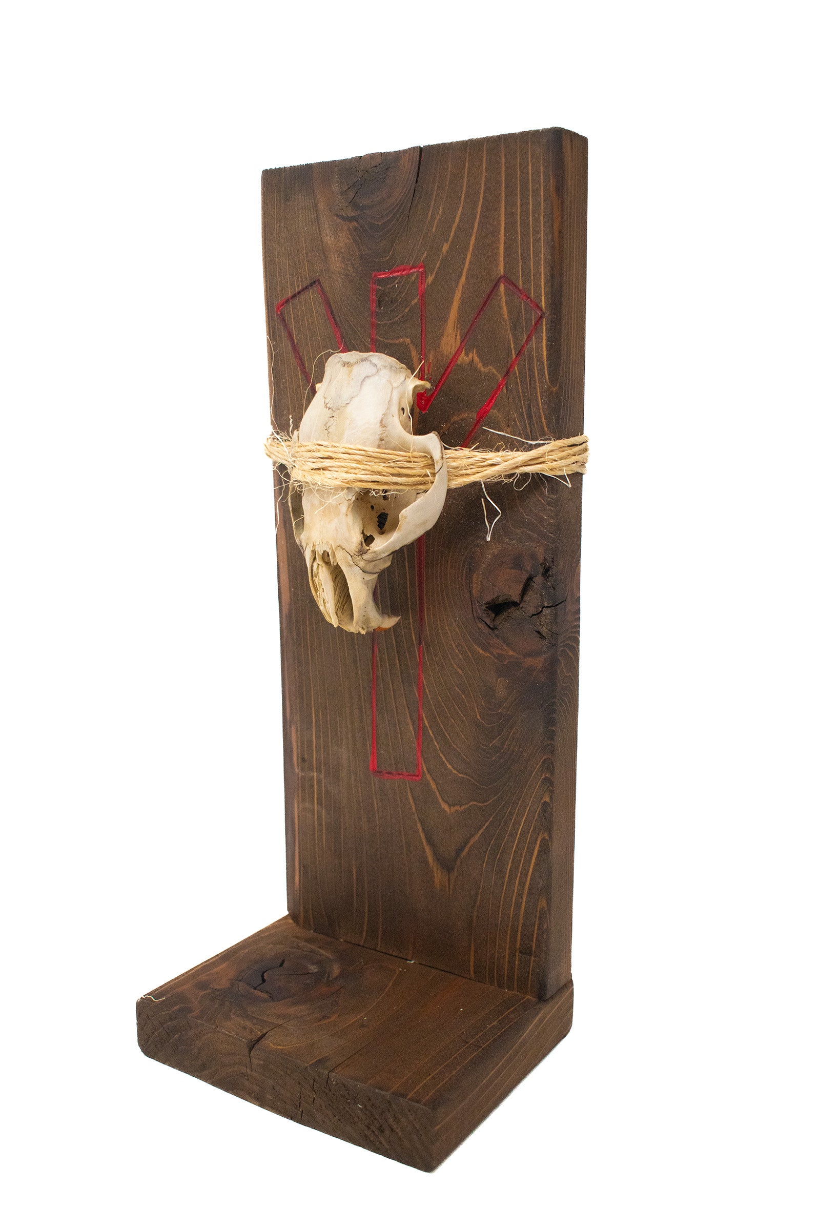 beaver skull and algiz rune altar