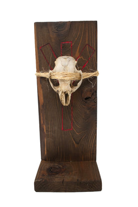 beaver skull and algiz rune altar