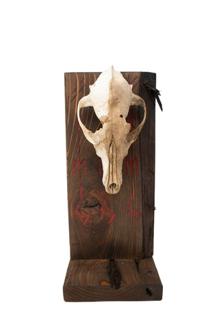 Image of Freya bindrune and coyote skull altar