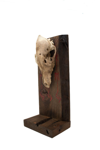 Image of Freya bindrune and coyote skull altar