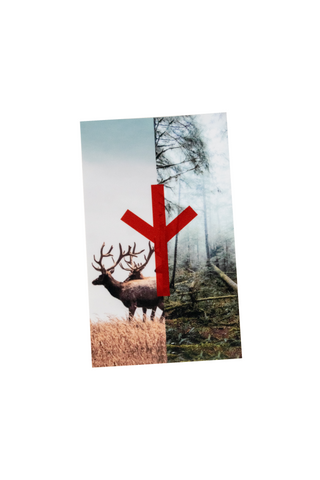 Image of Algiz forest sticker