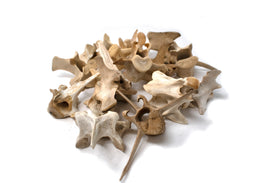 Ethically Sourced Deer Vertebra – Ritual Offering & Altar Talisman