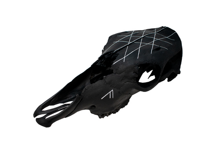 Blackened web of wyrd cow skull