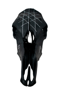 Blackened web of wyrd cow skull