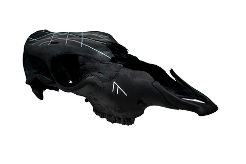 Image of Blackened web of wyrd cow skull
