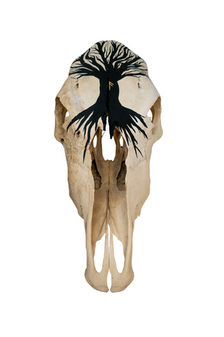 Image of Yggdrasil cow skull