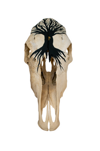 Yggdrasil cow skull