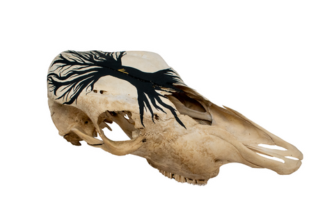 Image of Yggdrasil cow skull