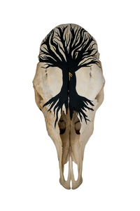 Yggdrasil cow skull