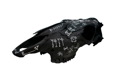 Image of Blackened Icelandic magical staves cow skull