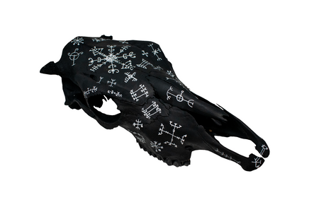 Blackened Icelandic magical staves cow skull