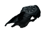 blackened vegvisir cow skull