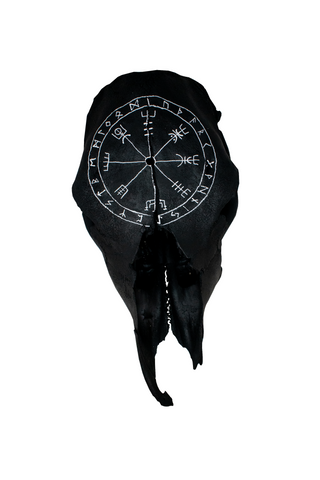 Image of blackened vegvisir cow skull