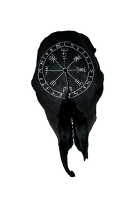 blackened vegvisir cow skull