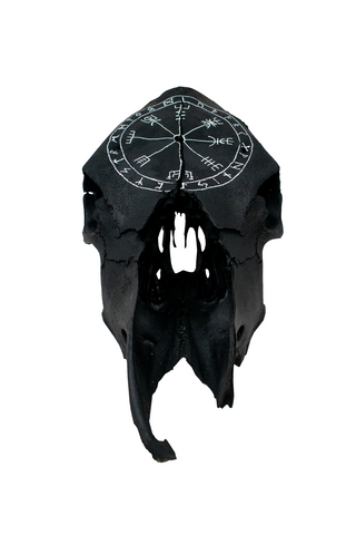 Image of blackened vegvisir cow skull