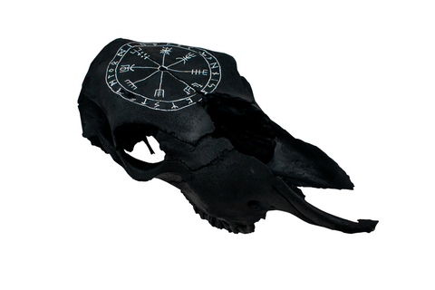 Image of blackened vegvisir cow skull