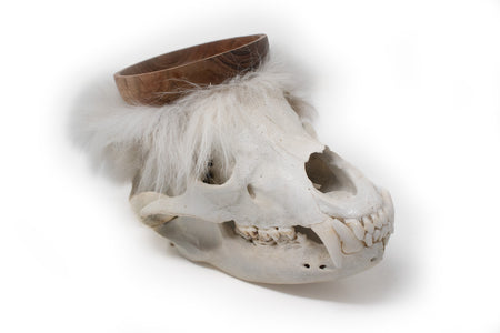 black bear skull offering bowl #2