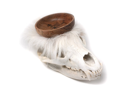 Image of black bear skull offering bowl #2