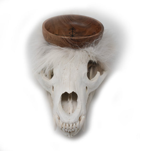 Image of black bear skull offering bowl #2