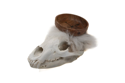 Image of black bear skull offering bowl #2