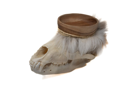 Image of black bear skull offering bowl #3