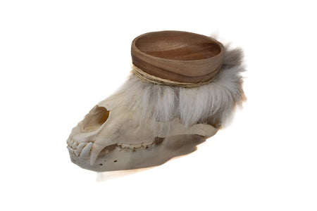 black bear skull offering bowl #3