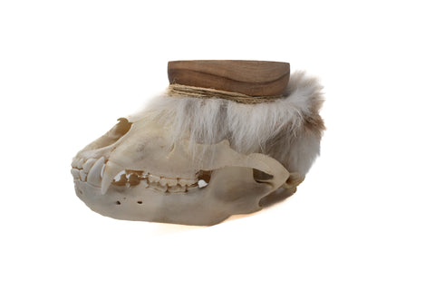 Image of black bear skull offering bowl #3