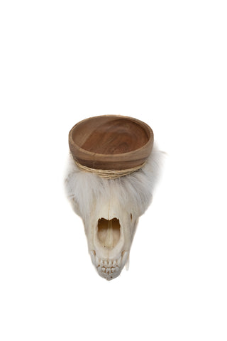 Image of black bear skull offering bowl #3