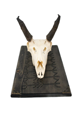 Image of protection stave pronghorn hanger