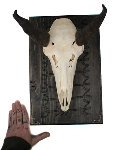 Image of protection stave pronghorn hanger