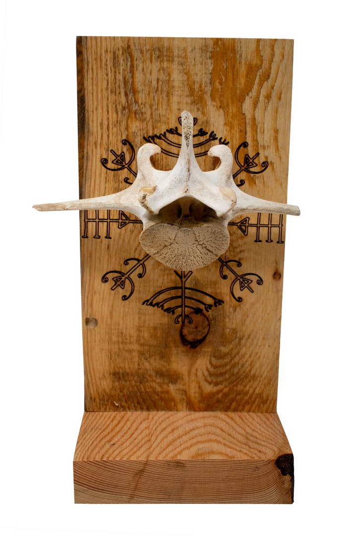 veldismagn elk vertebra altar
