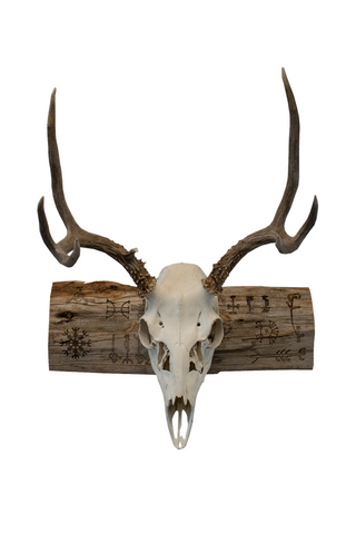 Image of Icelandic magical staves euro mount