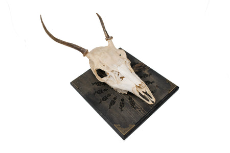 Odin bindrune deer skull hanger