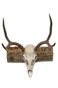 Icelandic magical staves euro mount