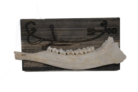 Image of norse symbols deer jawbone wall hanger