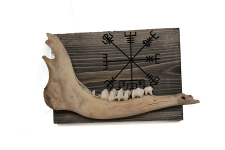 norse symbols deer jawbone wall hanger