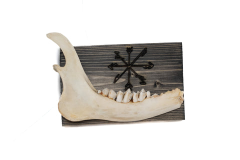 Image of norse symbols deer jawbone wall hanger