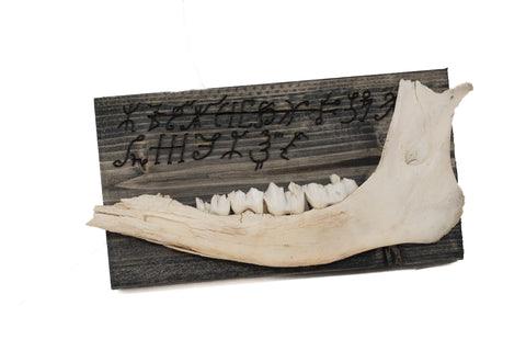 Image of norse symbols deer jawbone wall hanger