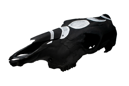 blackened moon phase cow skull