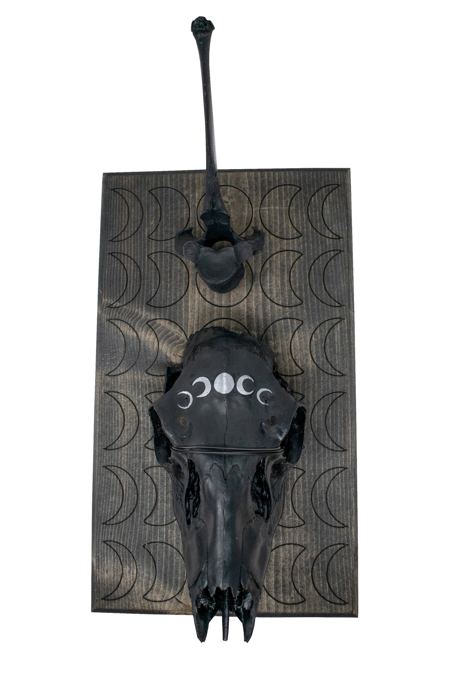 moon phase deer skull & elk vertebra hanger