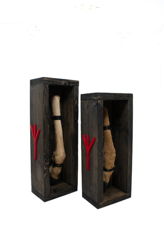 Image of boxed deer leg