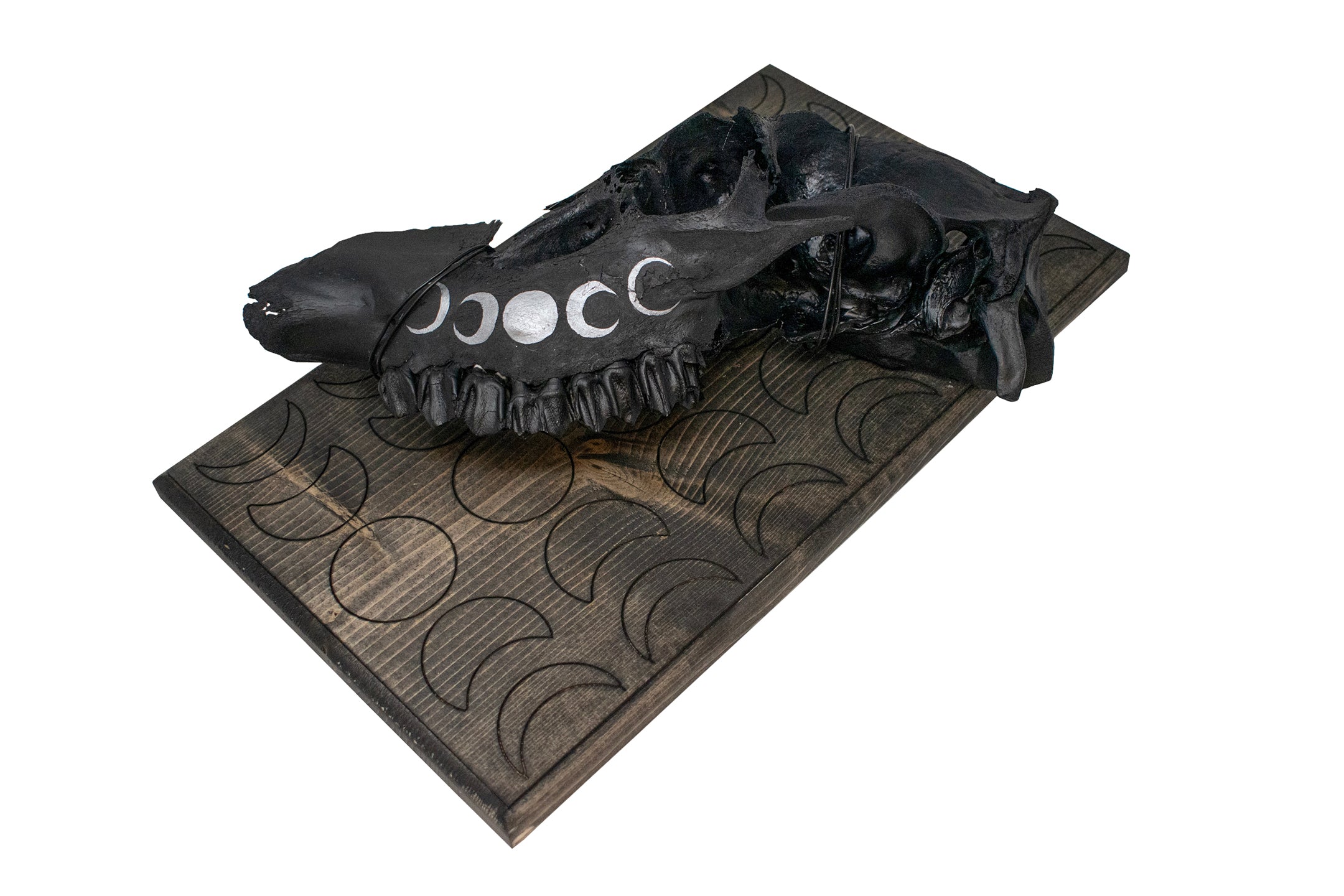 moon phase elk skull hanger