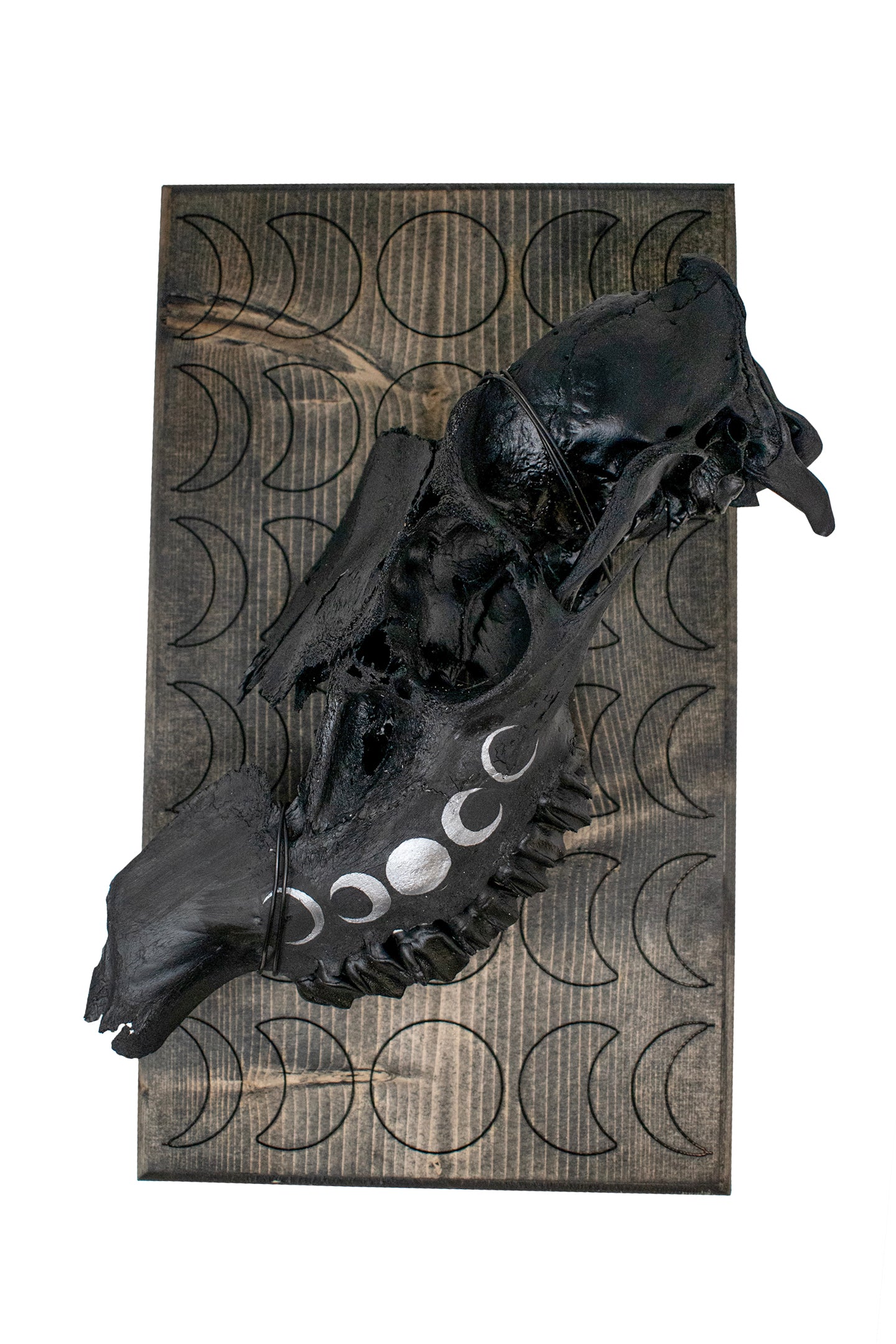 moon phase elk skull hanger