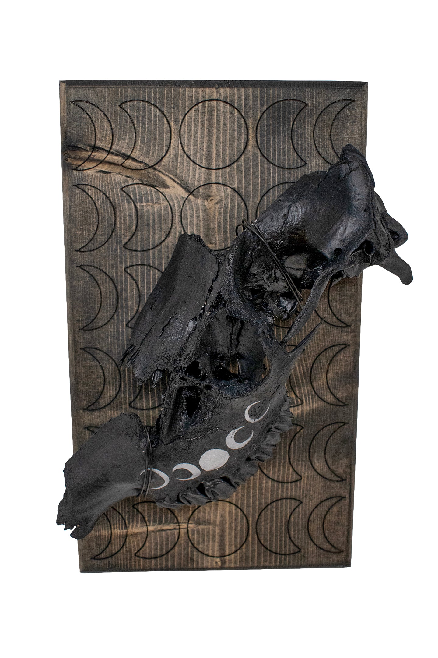 moon phase elk skull hanger