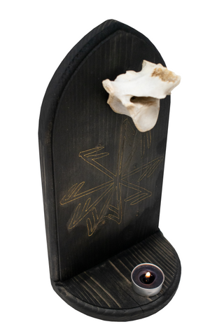 Image of Elk vertebra & connect to the gods stave altar