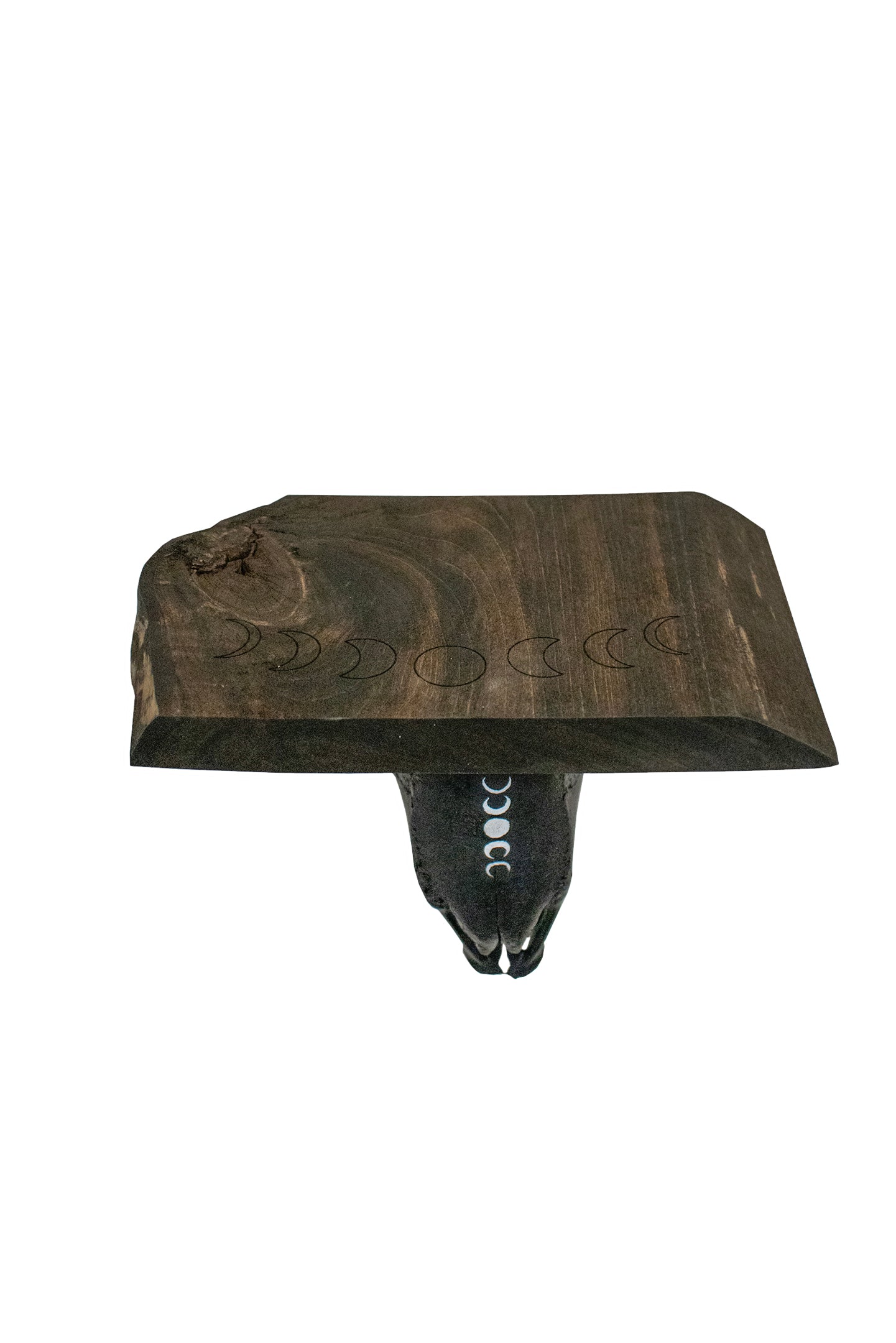moon phase sheep skull shelf